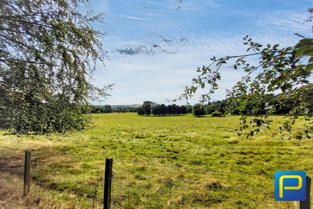 Property 28