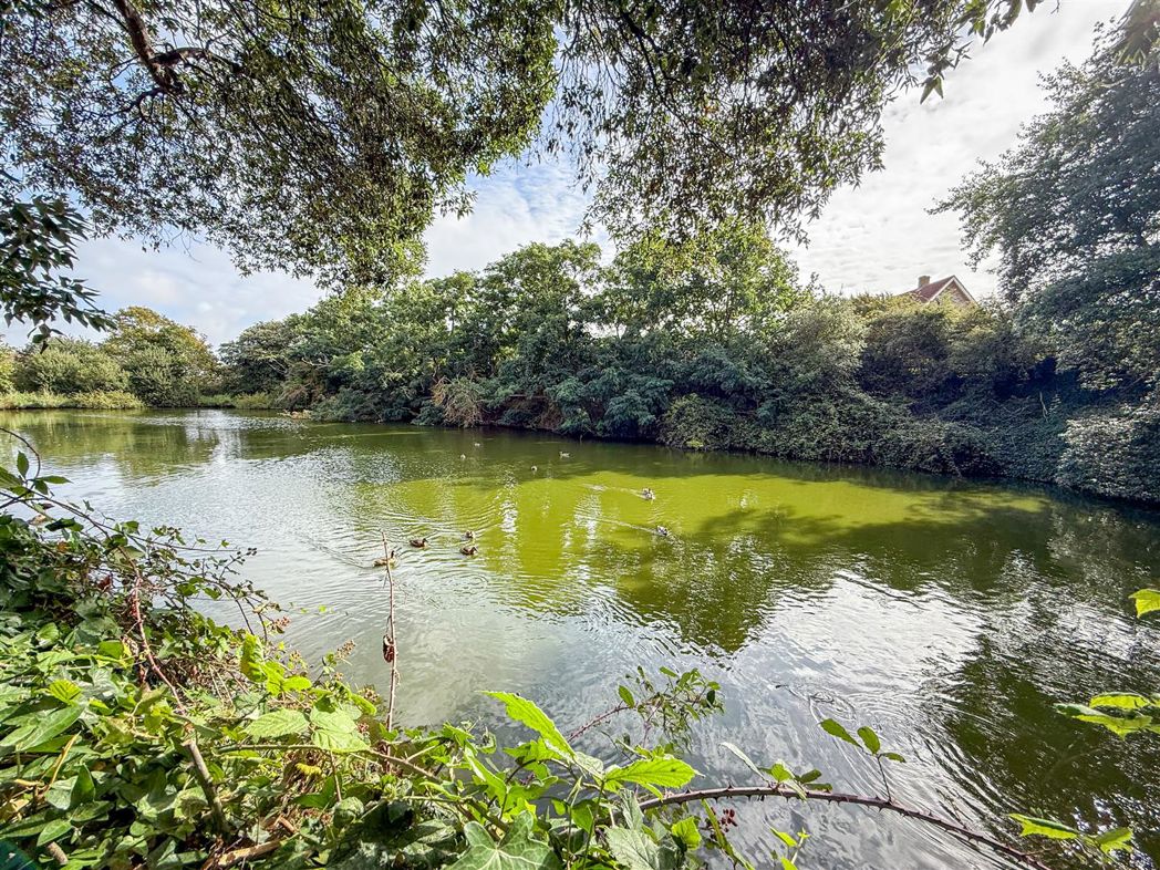 Property 6