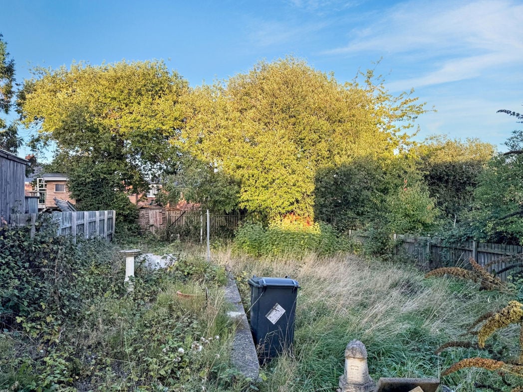 External Rear