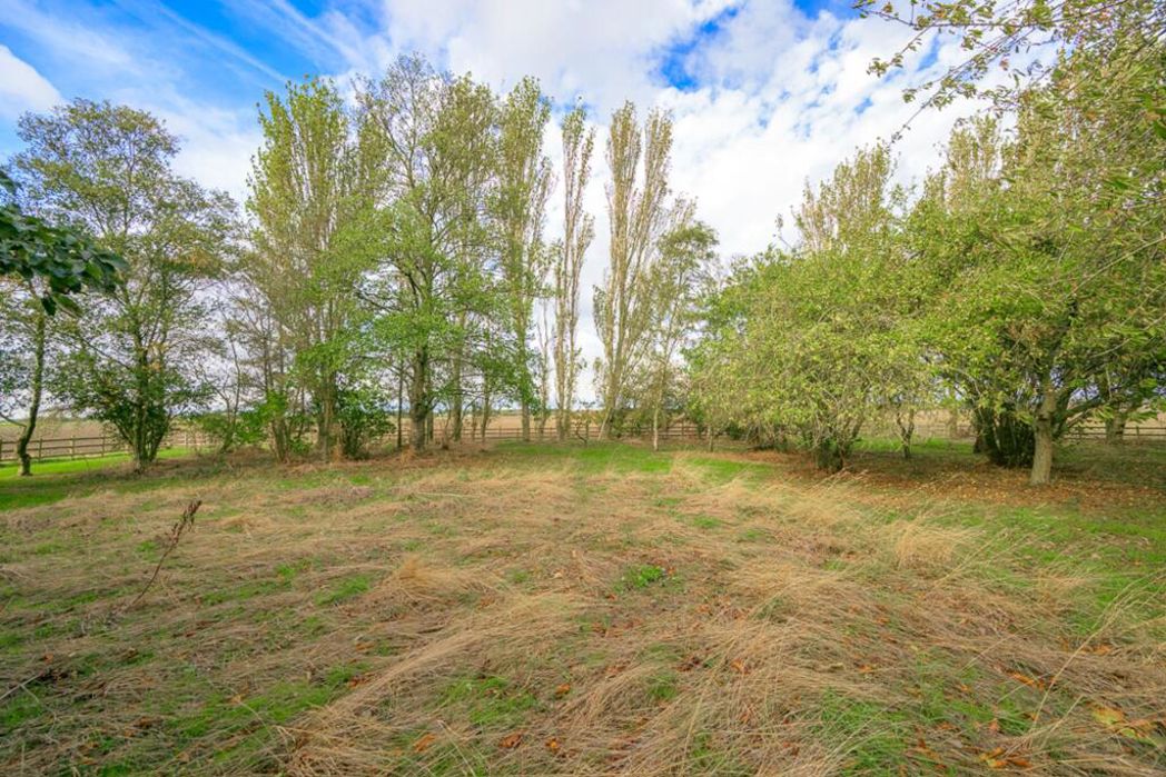 Property 24