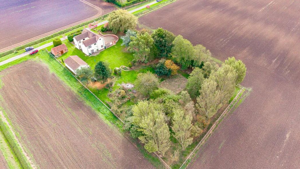 Property 38