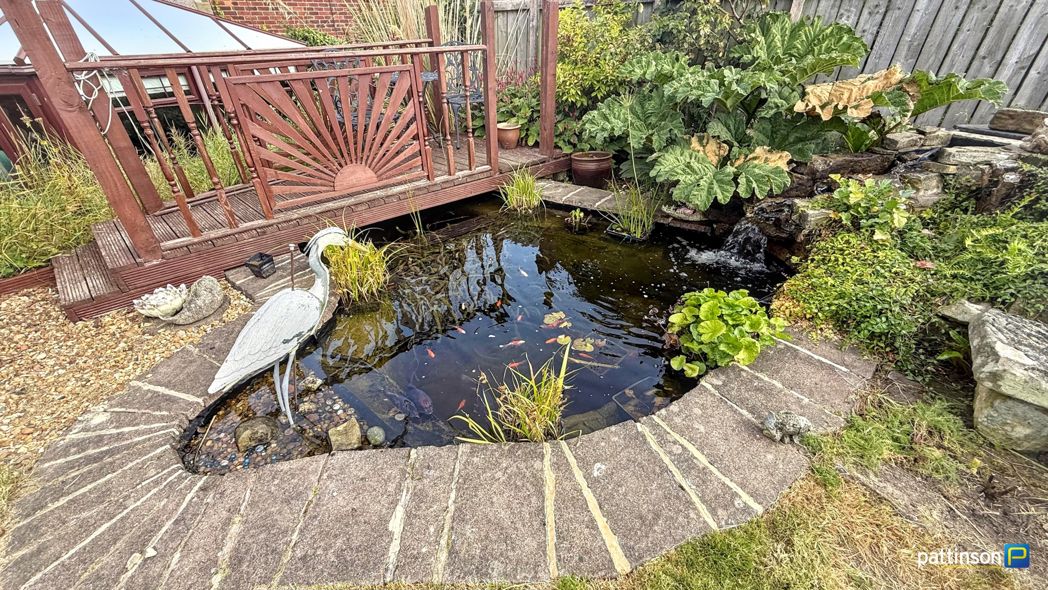 Pond