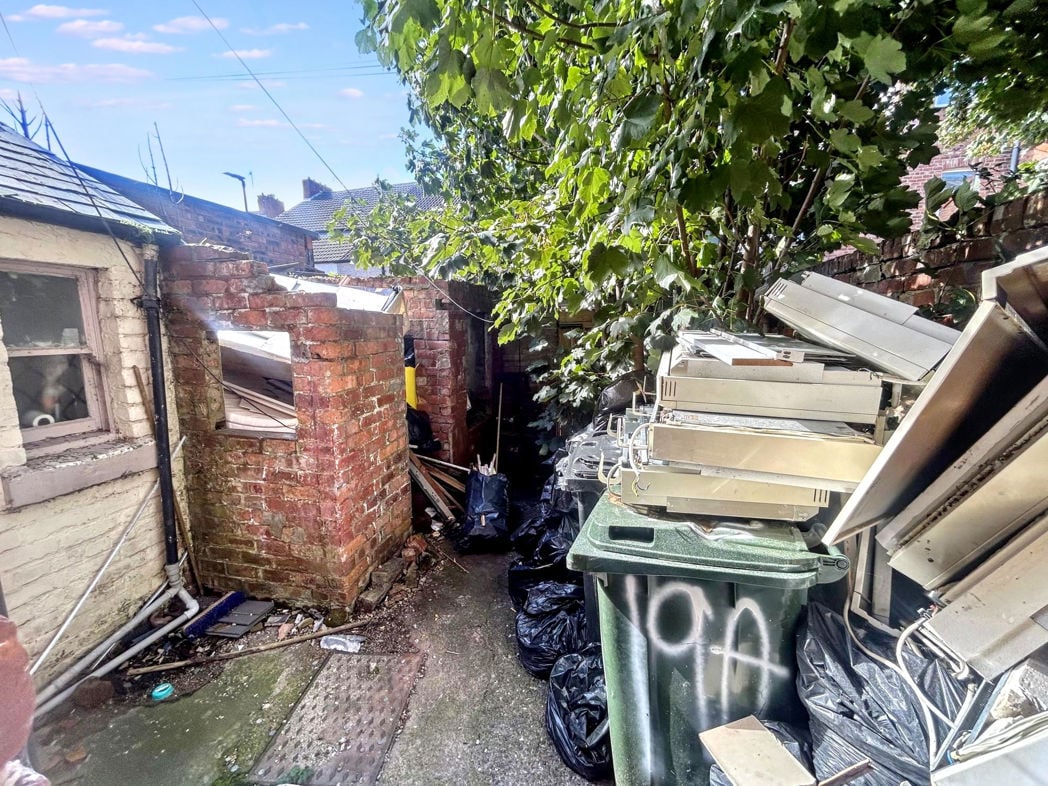 Rear Yard