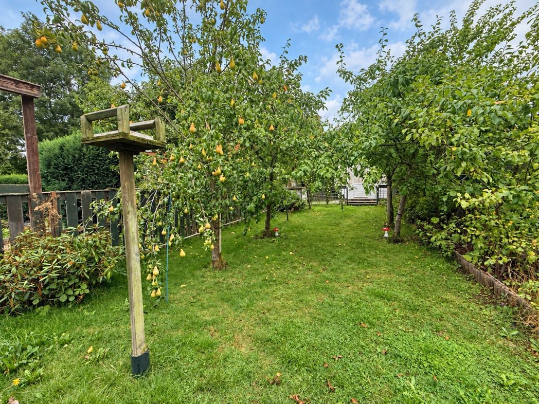 Additional Garden