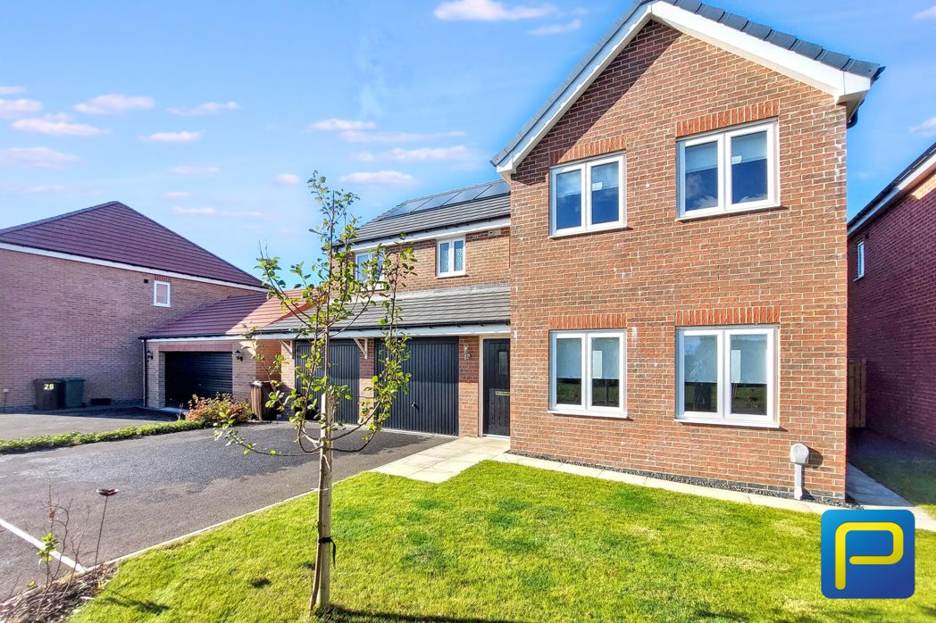 Front Garden and Driveway