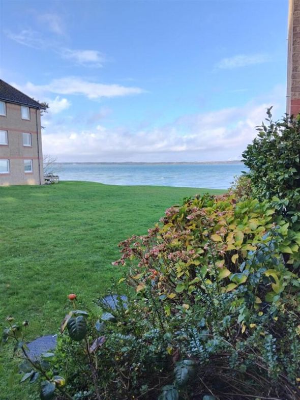Property 10