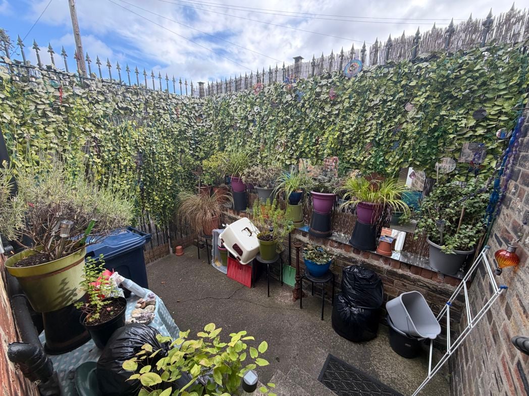 Rear yard