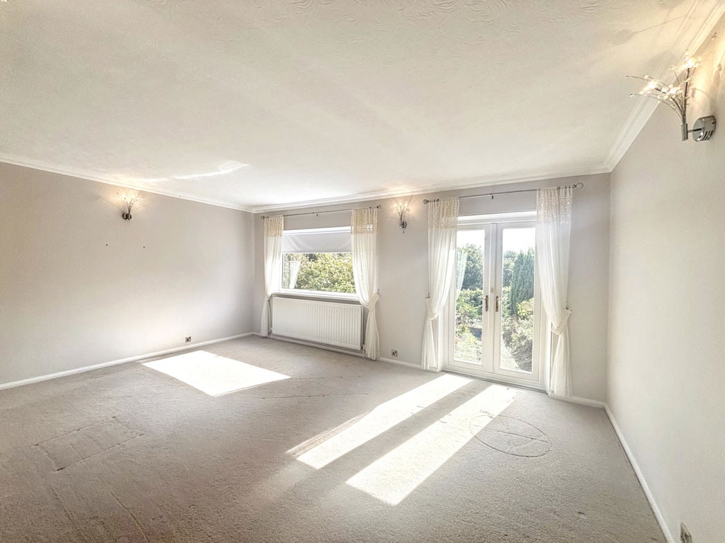 Another Living Room Image