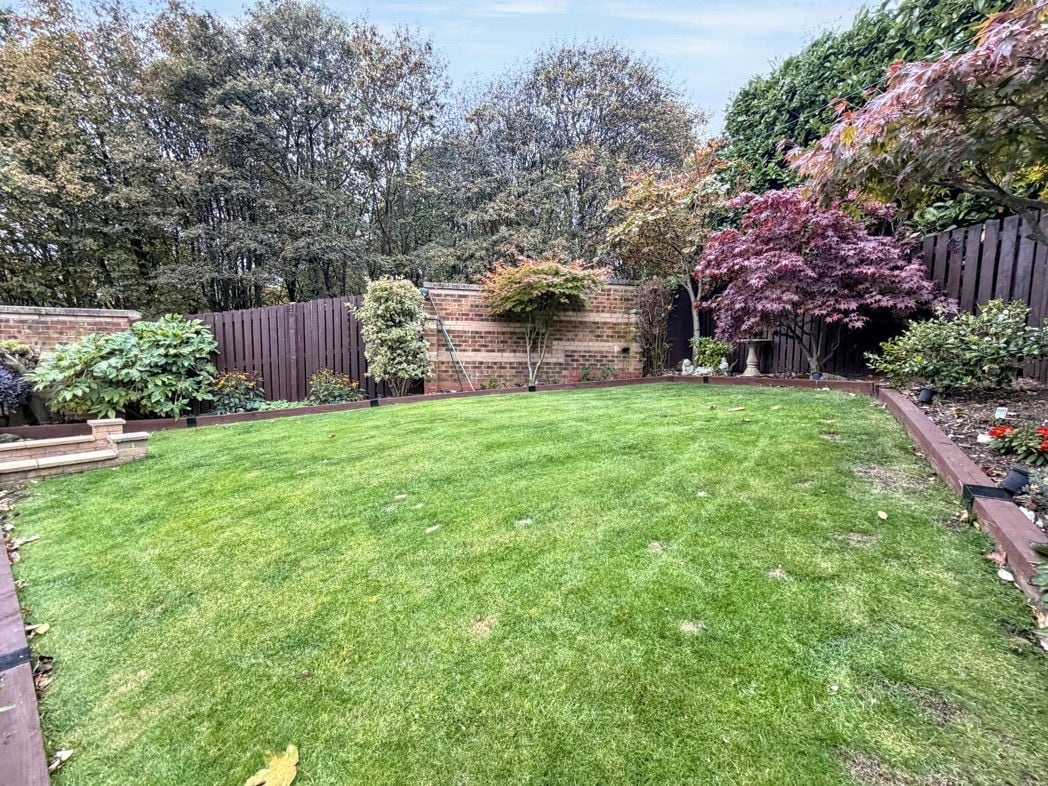 Property 31