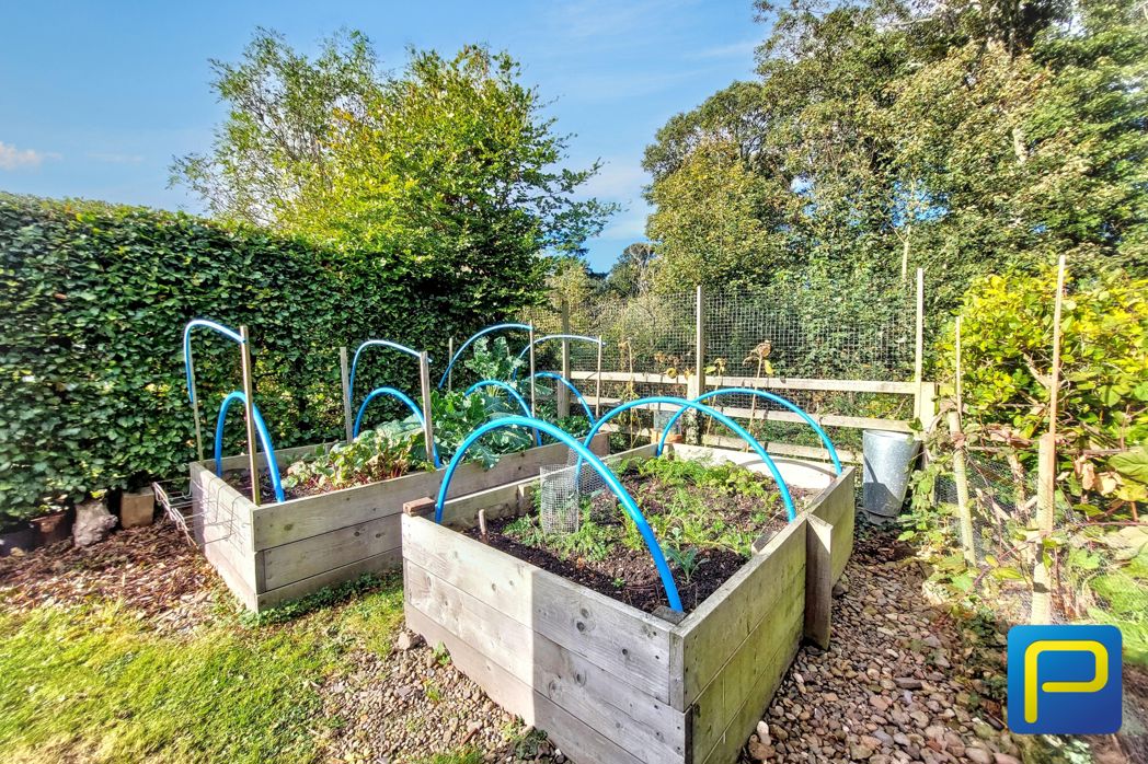 Vegetable Garden