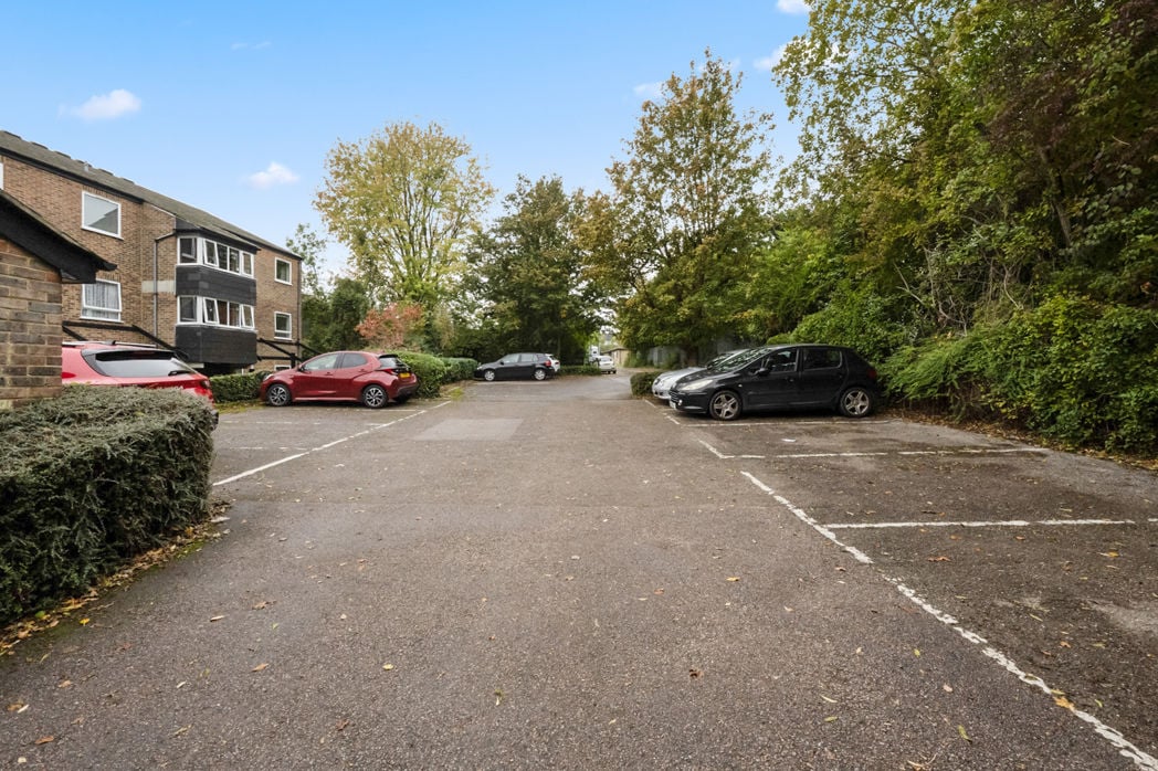 Property 19