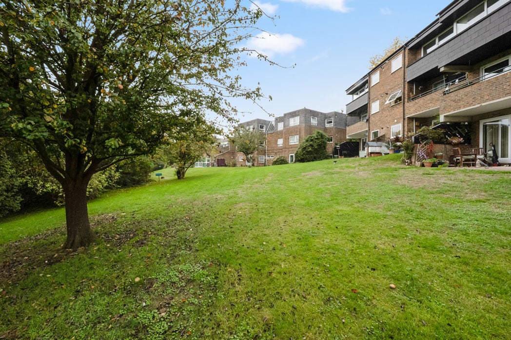 Property 21